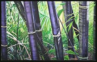 Image 11 - Black Bamboo