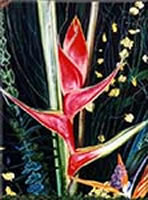 Image 51 - Flower Show Heliconia