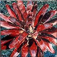 Image 54 - Indian Crimson Bromelead