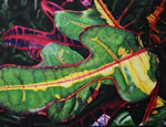 DemoCroton