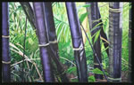 Blackbamboo
