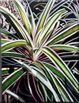Bromeliadtree