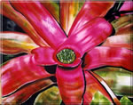 FairchildbromeliadshowII