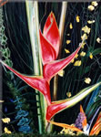 Flowershowheliconia
