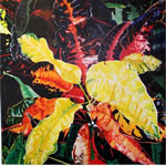 My Croton Copy