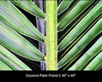 Paintings022