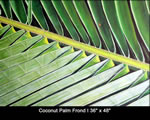 Paintings023