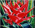 Roselakeheliconia