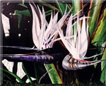 Whitebirds