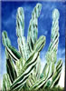 Painting Gallery: Curlycactus