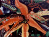 Painting Gallery: Florida-Croton-SeriesI