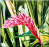 Painting Gallery: Ginger in Pink