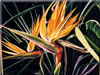 Painting Gallery: Miami Paradise