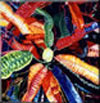 Painting Gallery: Wild Croton