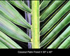 Painting Gallery: Coconut Frond I