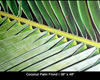 Painting Gallery: Conconut Palm Frond I